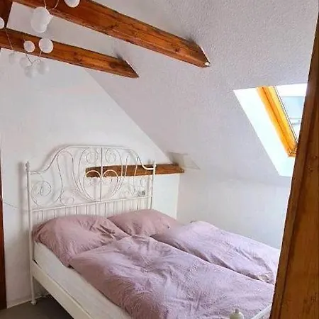 Apartment - Oberlausitz *